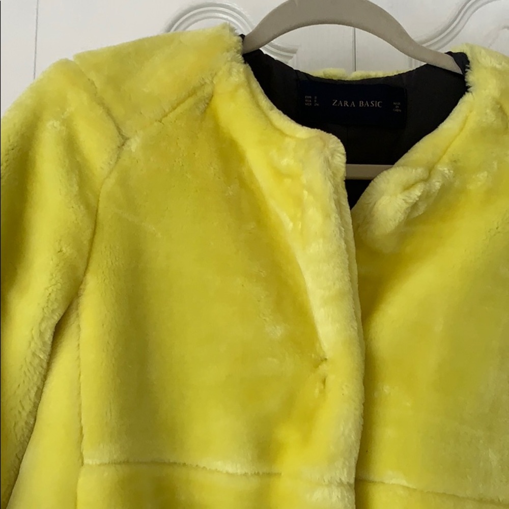 Zara Faux Fur Coat - Picture 4 of 6